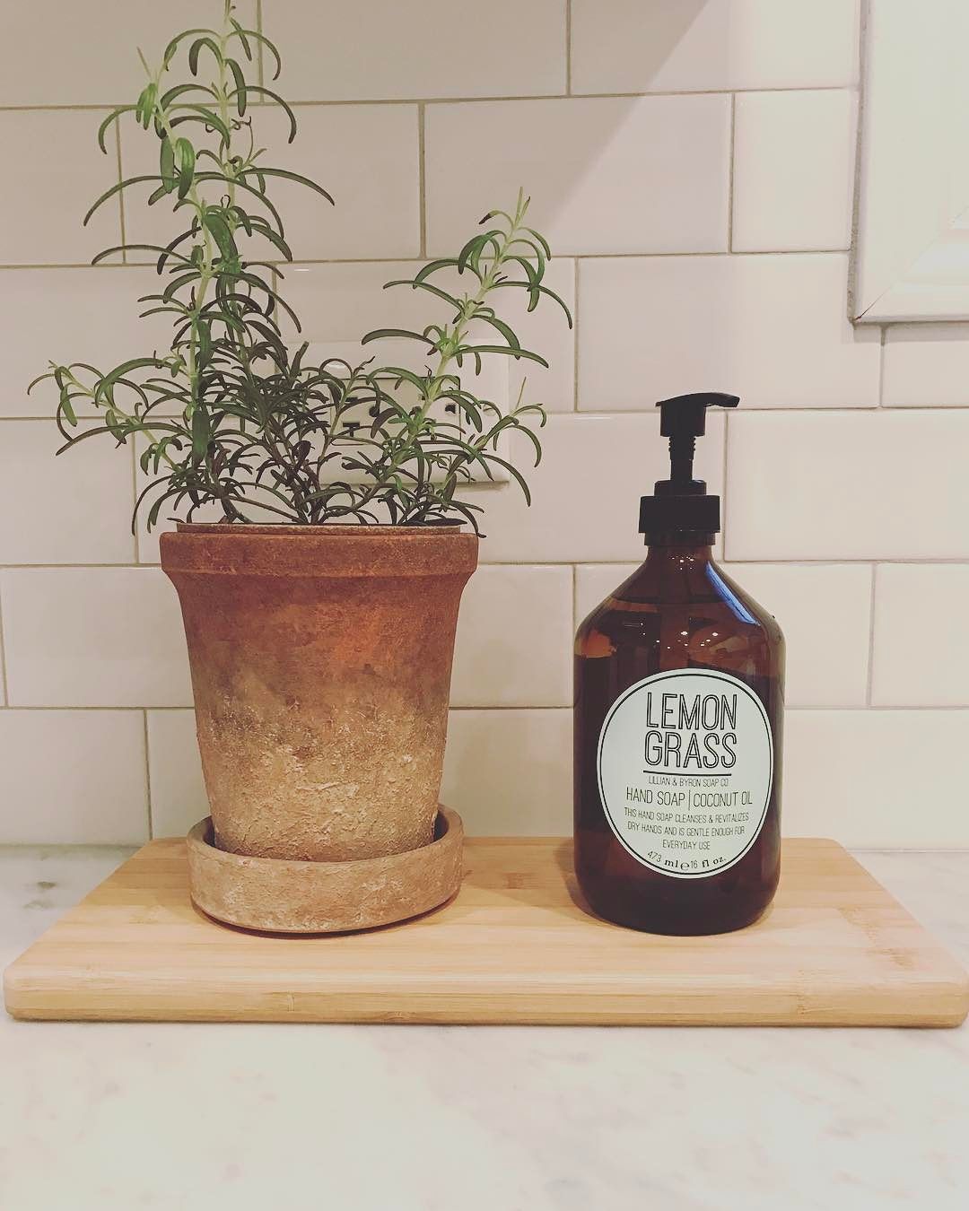 Small Pot with Attached Saucer Terracotta Smith & Hawken Target