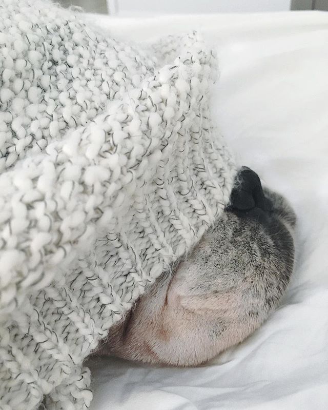 sweater knit blanket target
