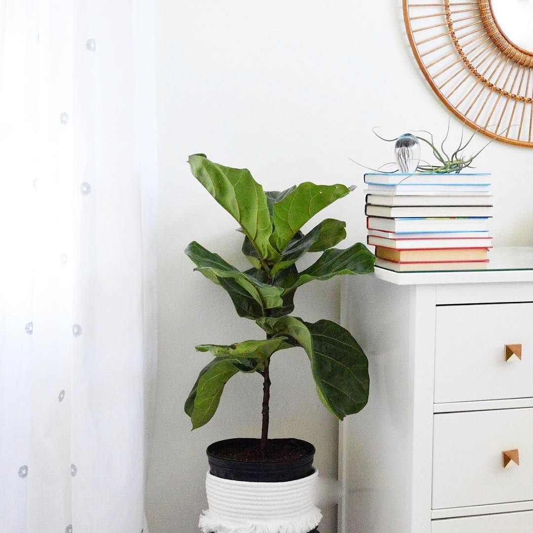 Metallic Curtain Panel Nate Berkus Target