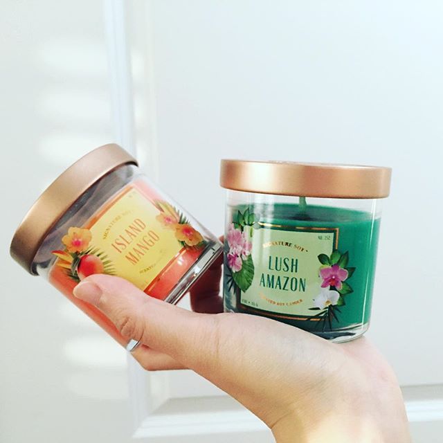 Jar Candle Lush Amazon 4oz Signature Soy® Target