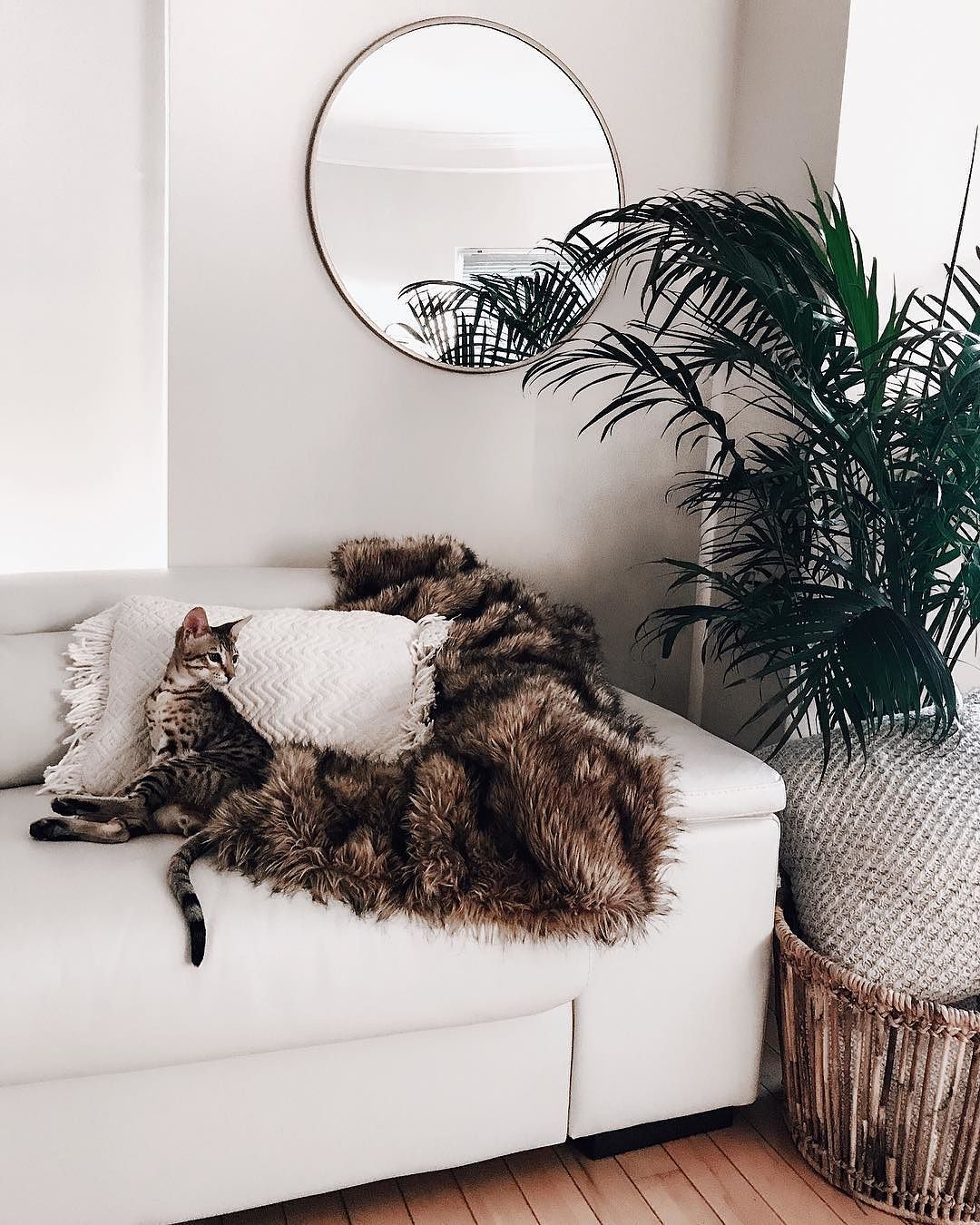 Round Decorative Wall Mirror Brass Project 62 Target Finds