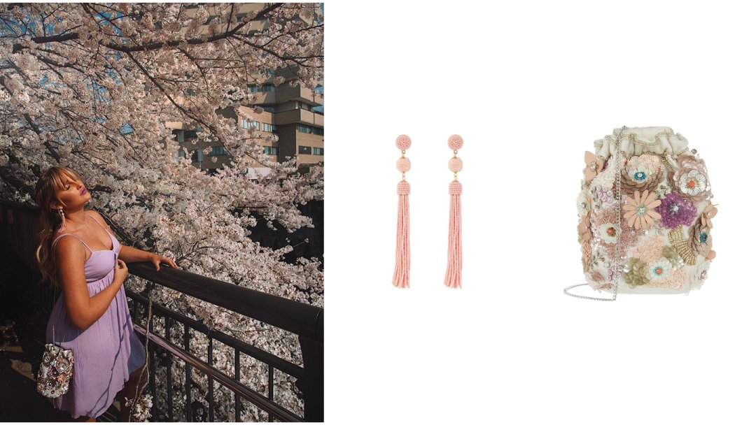 Charlotte Fisher: Visiting Japan’s Cherry Blossoms