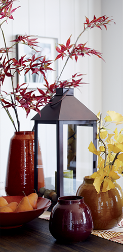 Thanksgiving Home Decorating Ideas