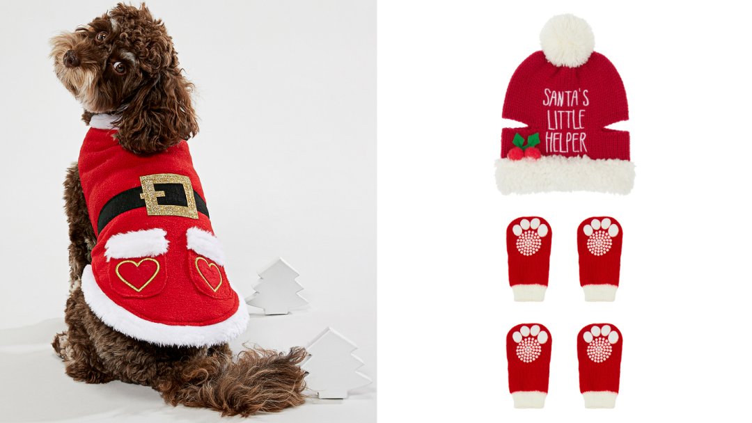 Accessorize best sale dog jumper