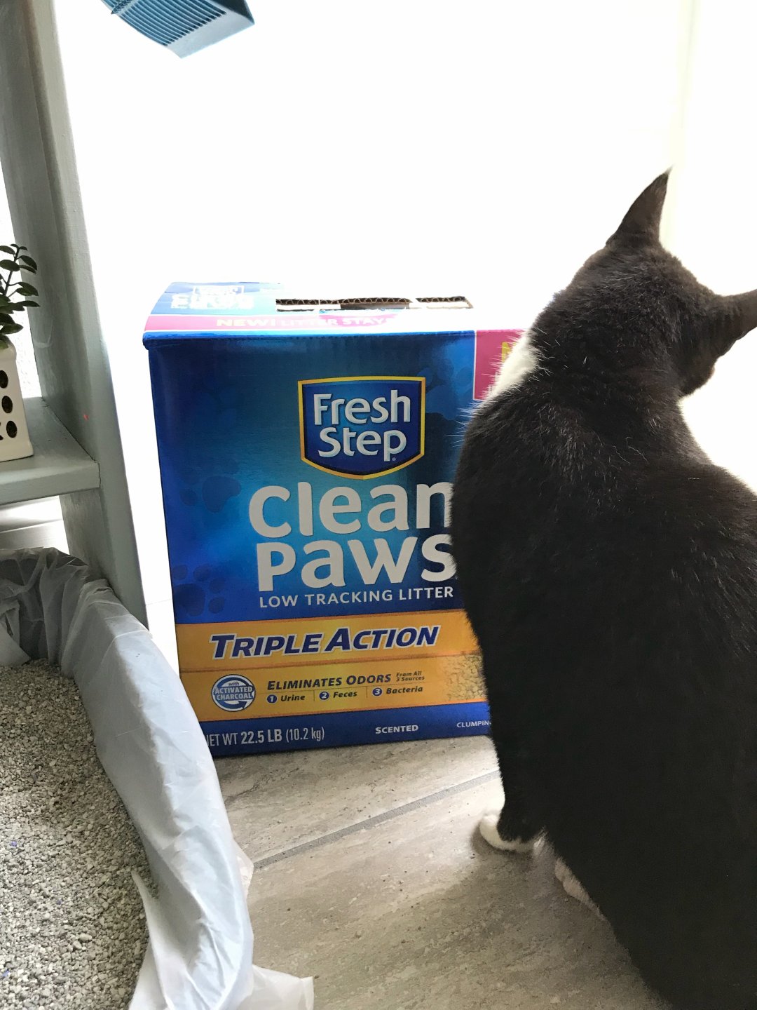 Fresh Step Clean Paws Triple Action Scented Litter, Clumping Cat Litter,  22.5 lbs 