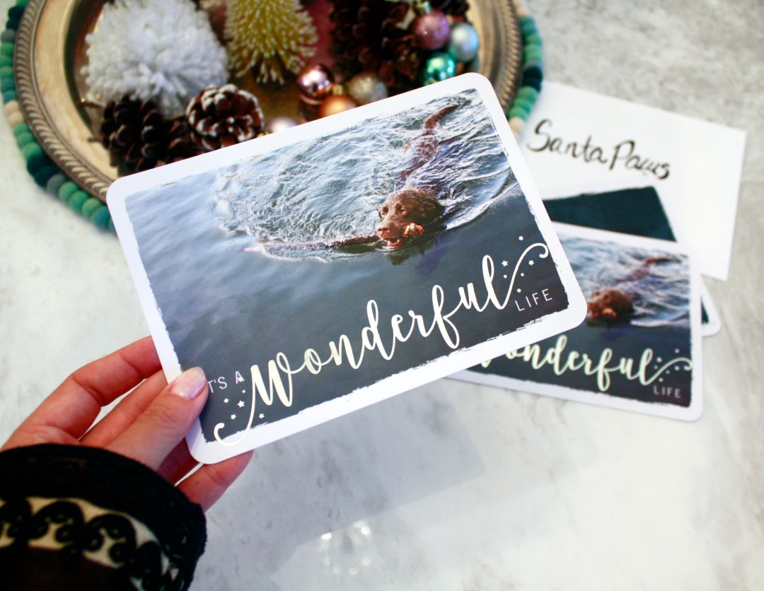 Family Christmas Card Photo Ideas — Mixbook Inspiration