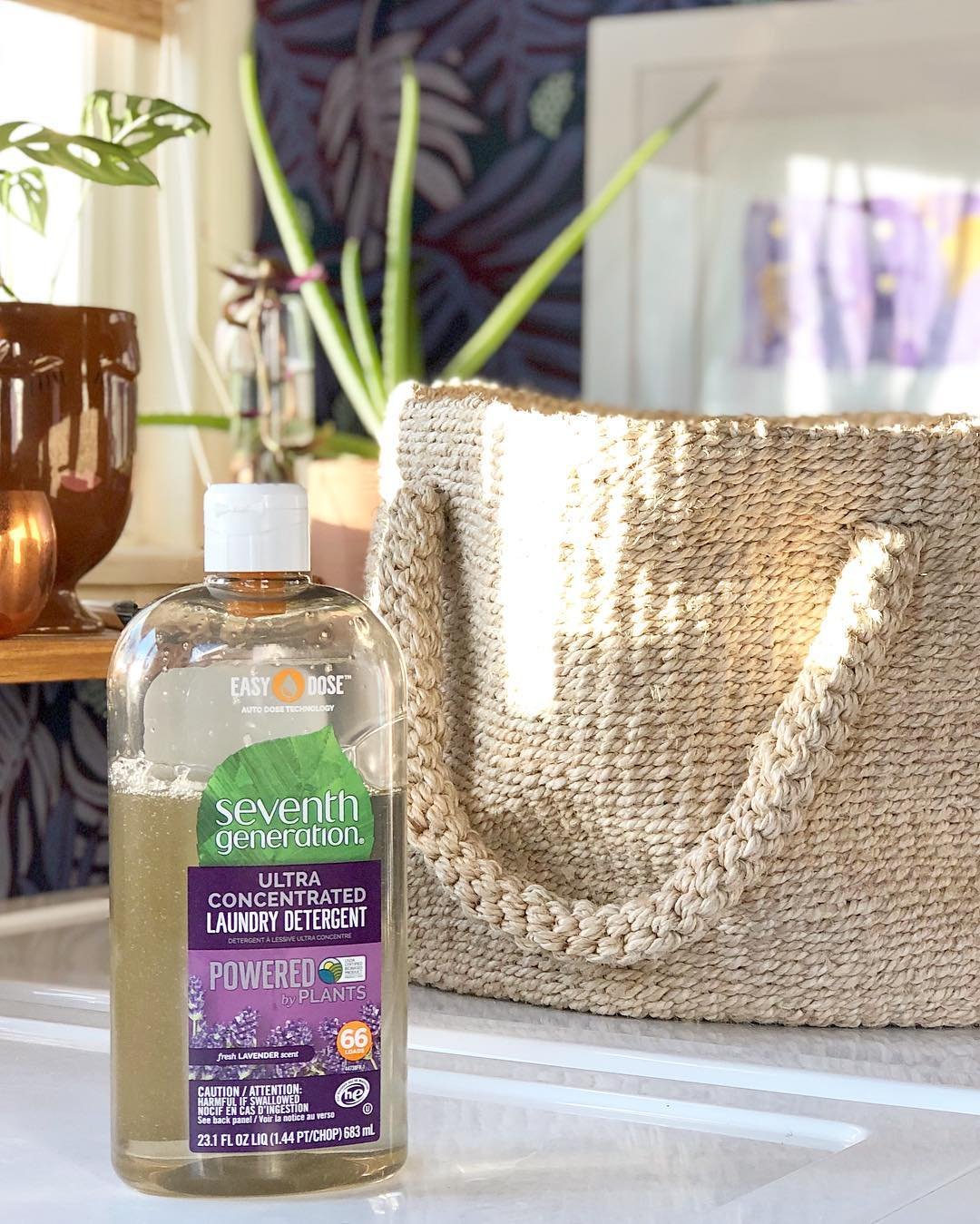 EasyDose laundry bottle sitting on a shelf next to other laundry-related items