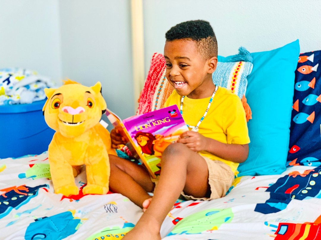 Lion king store toddler toys