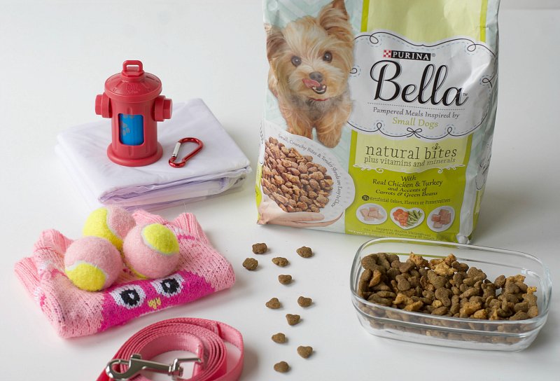 Bella small best sale dog food