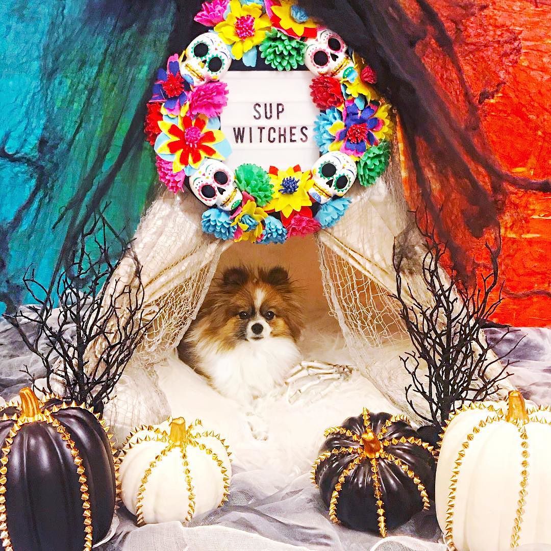 Halloween Decorations Target