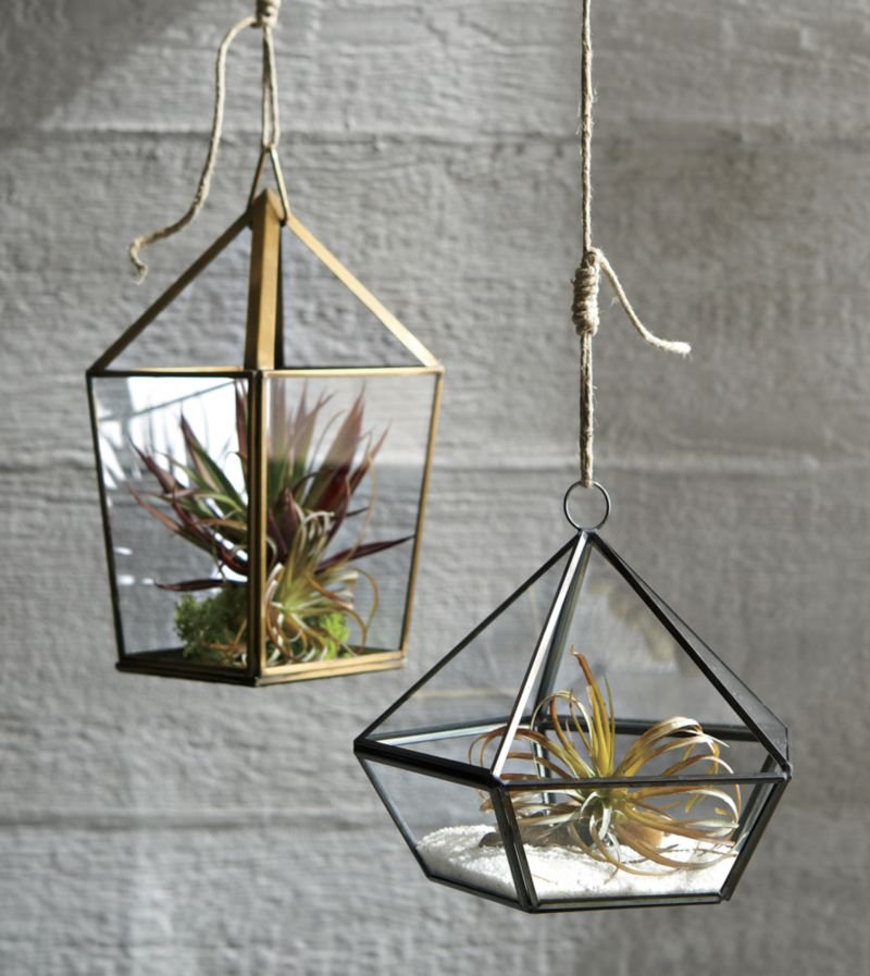 How to Make a Faux Terrarium Kit