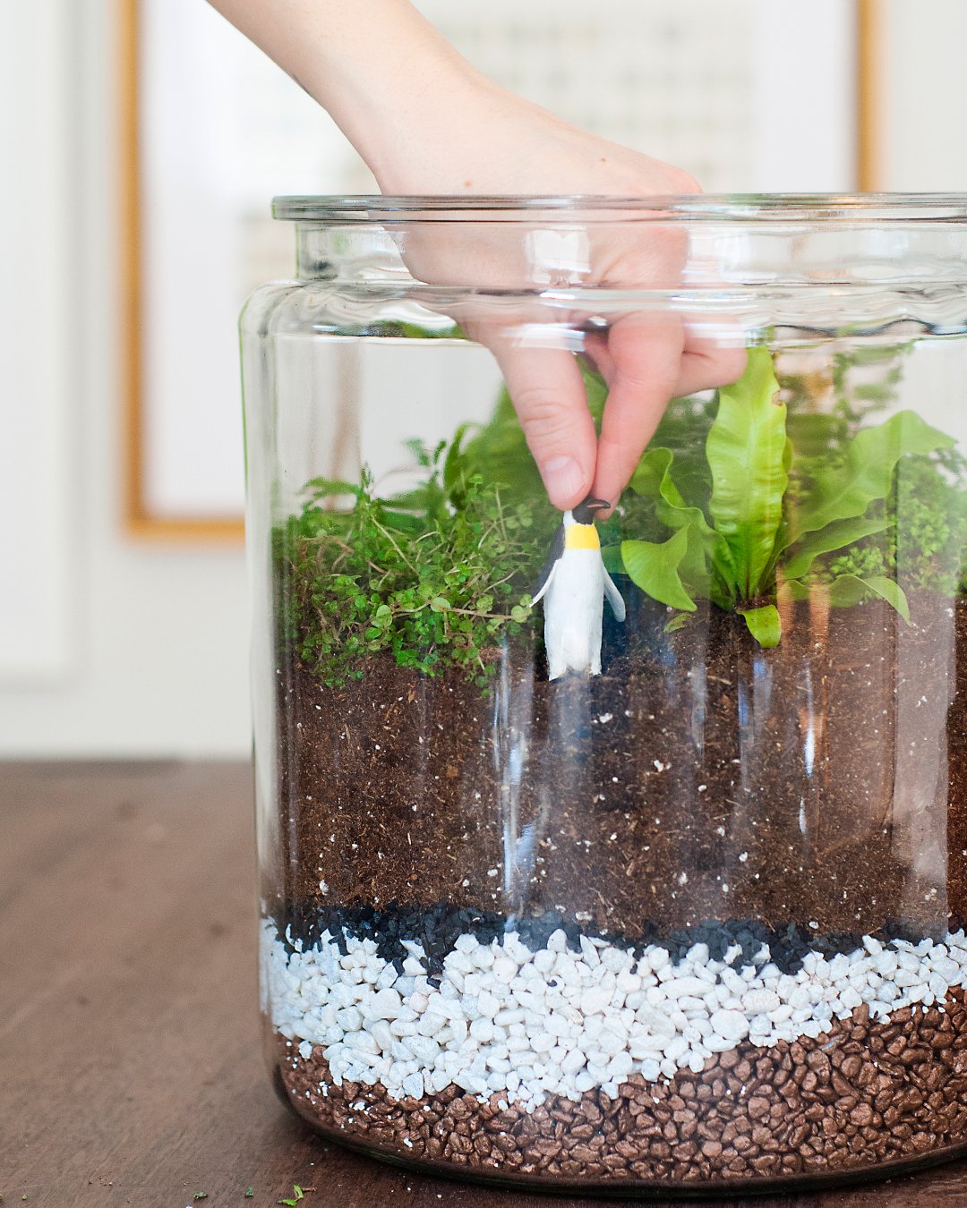 How to Make a Closed Terrarium Crate and Barrel Blog