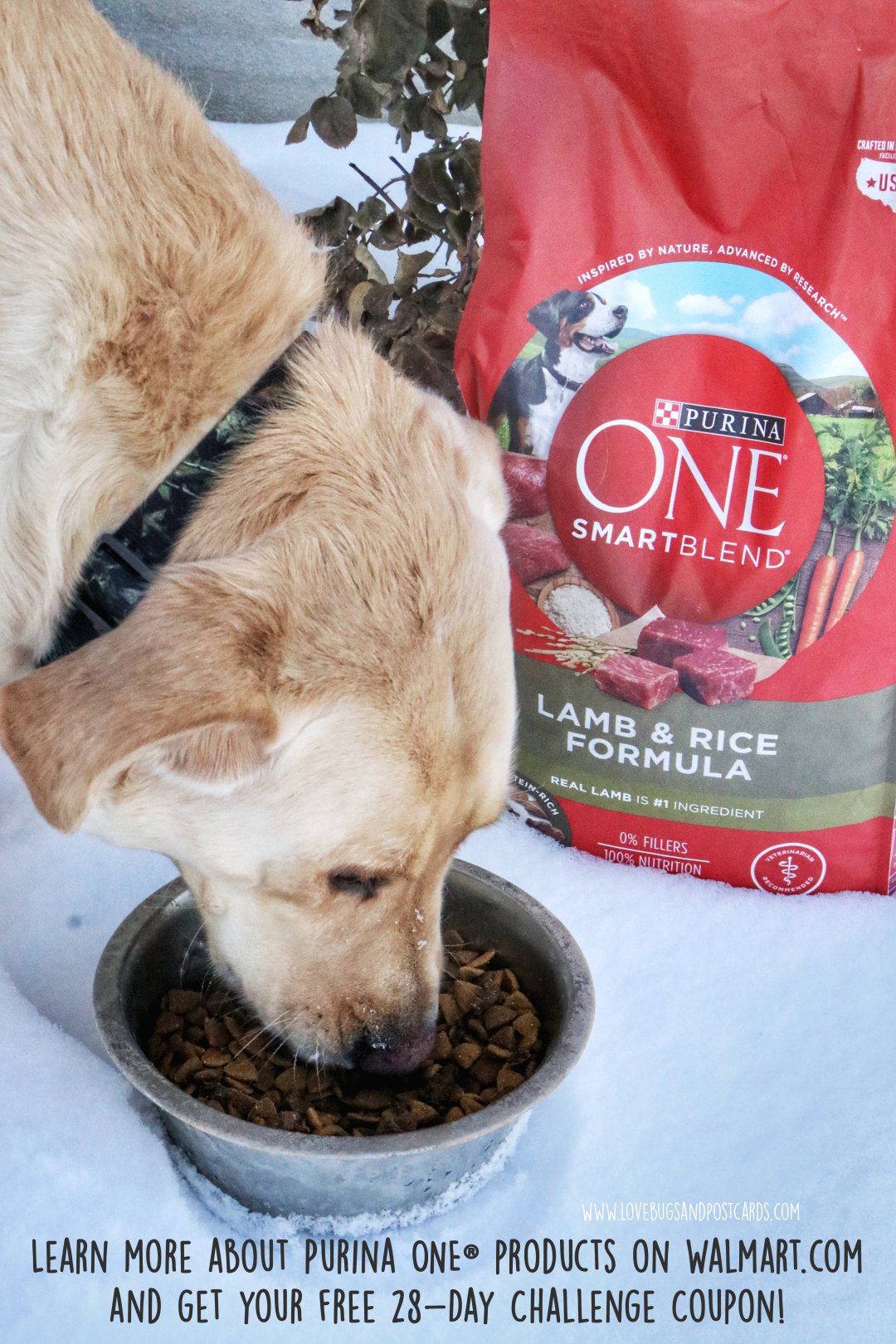 Purina one best sale smartblend coupon 2019