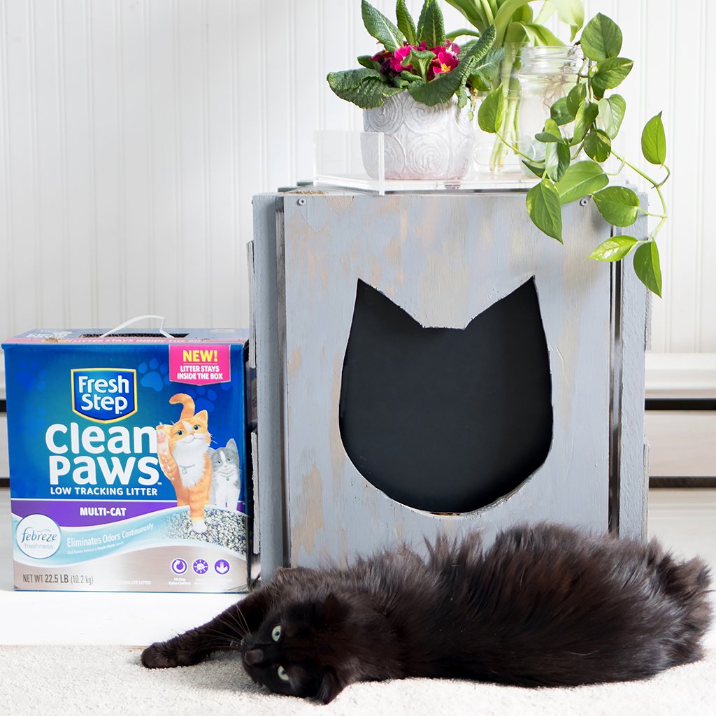 Diy multi hotsell cat litter box