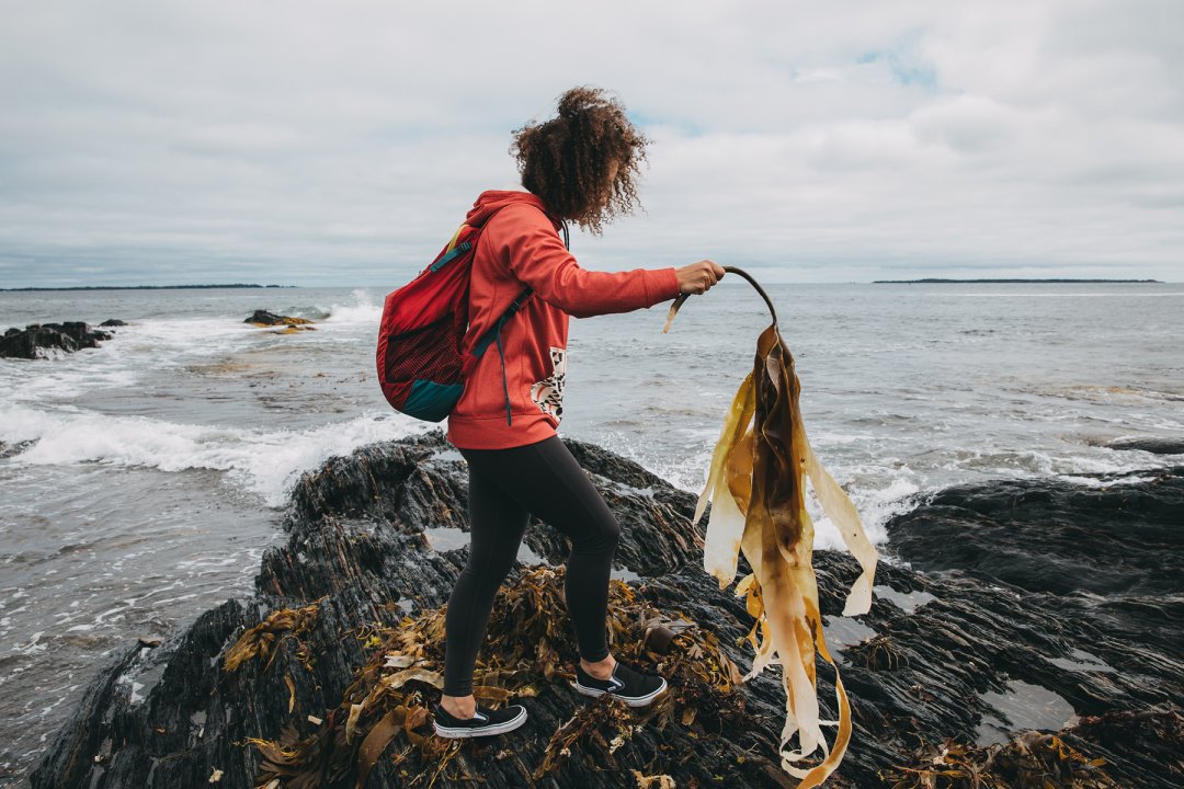 Putting the Burton Packable Collection to the Test in Nova Scotia