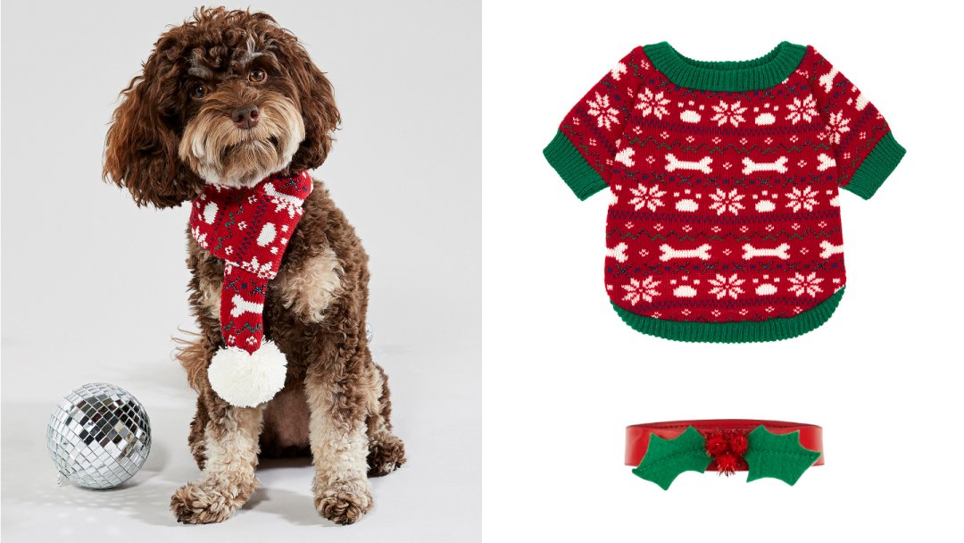 Accessorize dog outlet jumper