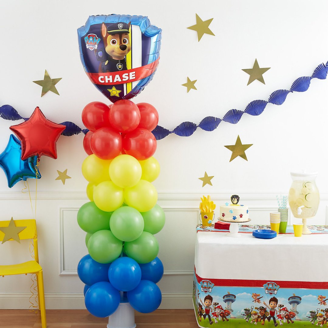 Paw Patrol Party Ideas Party City