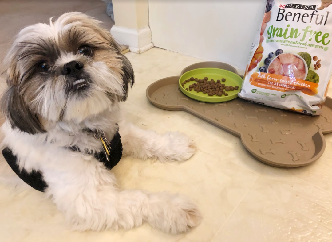 Purina store shih tzu