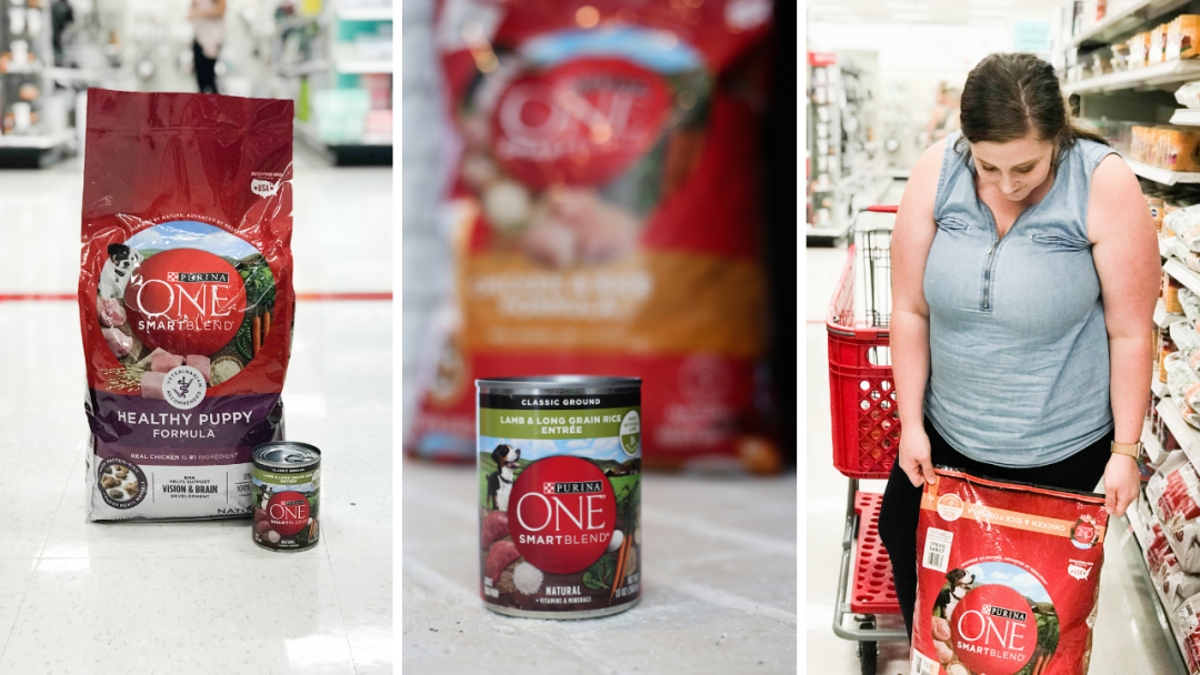 Purina one store dog food target