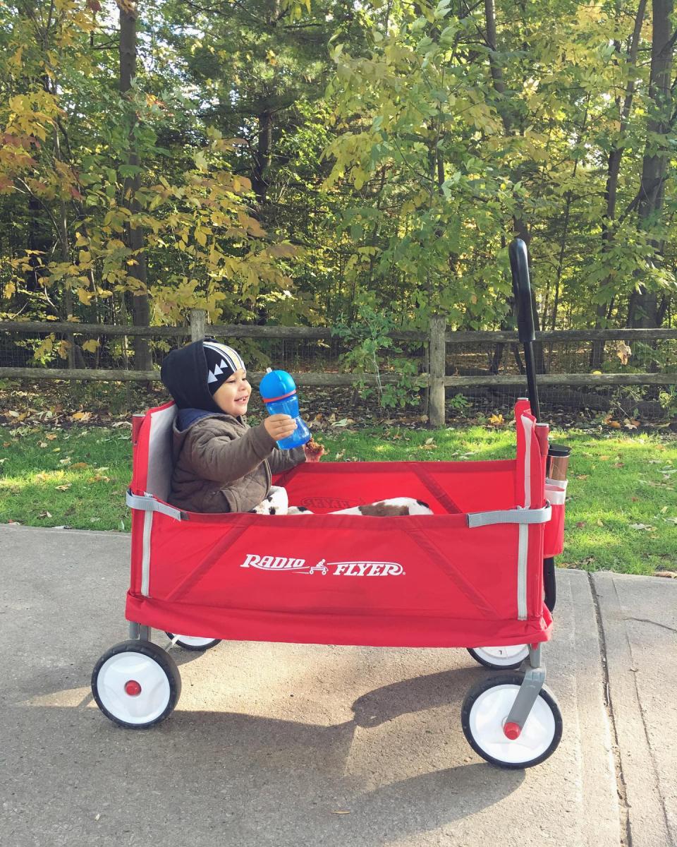 Radio Flyer 3 In 1 EZ Fold Wagon With Canopy Deals Coupons Reviews