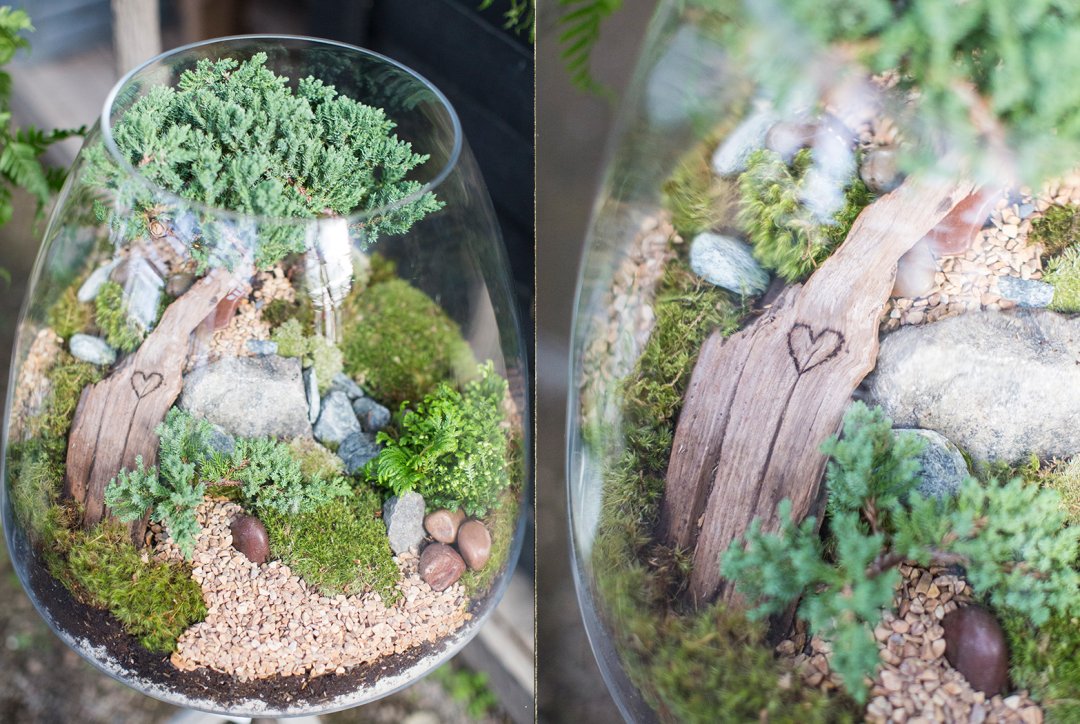 Sanctuary S Rainforest Terrarium - Moss