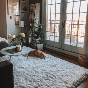 Cozy Plush Rug