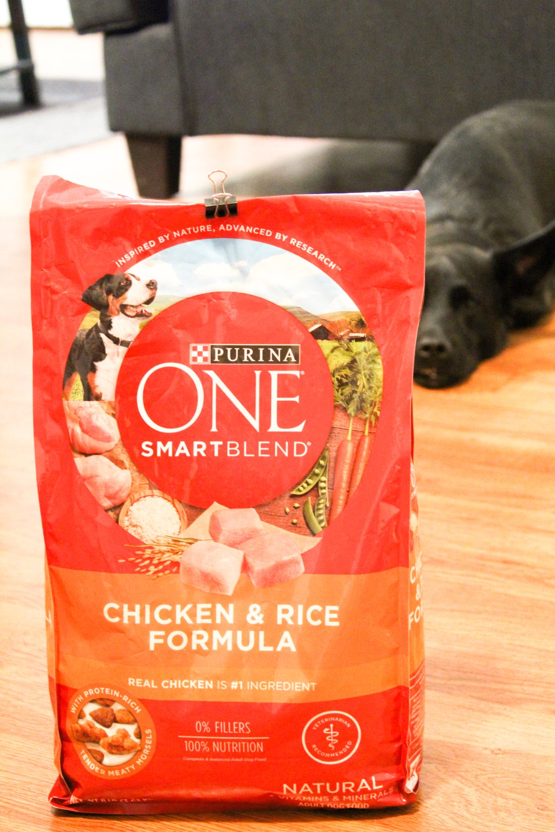 purina one dog food target