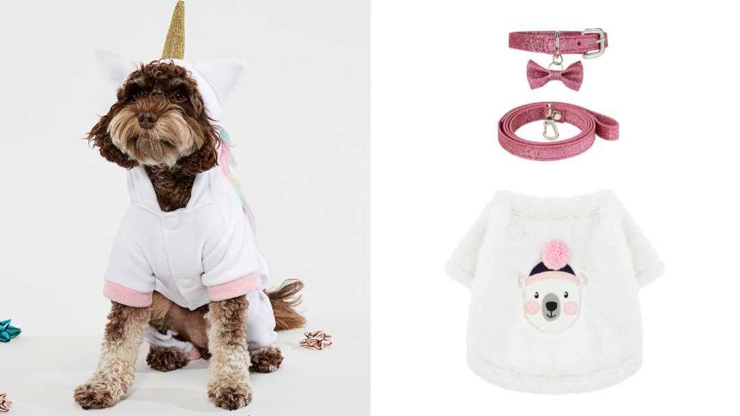 The Best Christmas Gifts for Dogs The Accessorize Blog