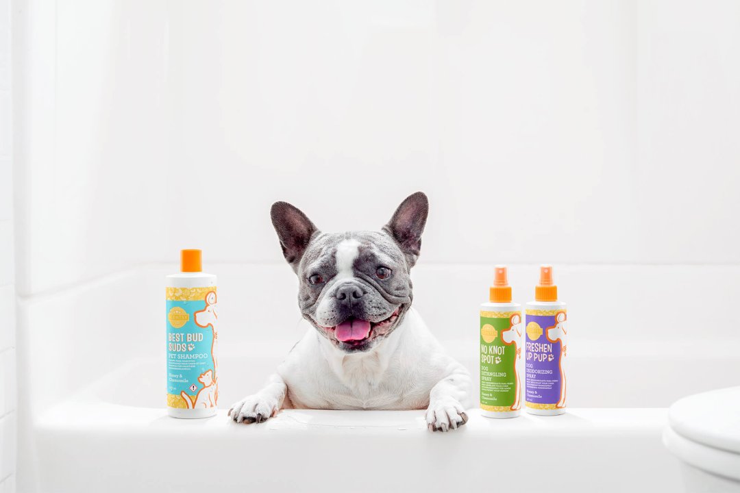 Scentsy pets products to pamper your pet and leave them squeaky clean and scented in amazing fragrance
