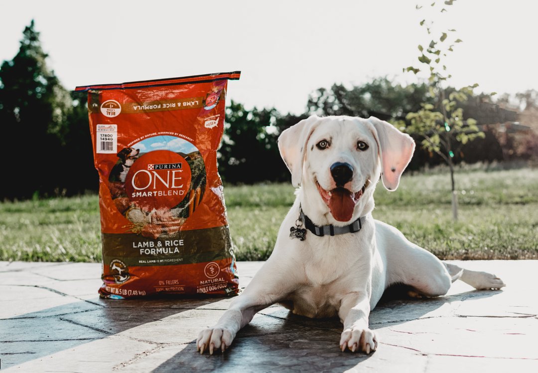 Purina one smartblend store target