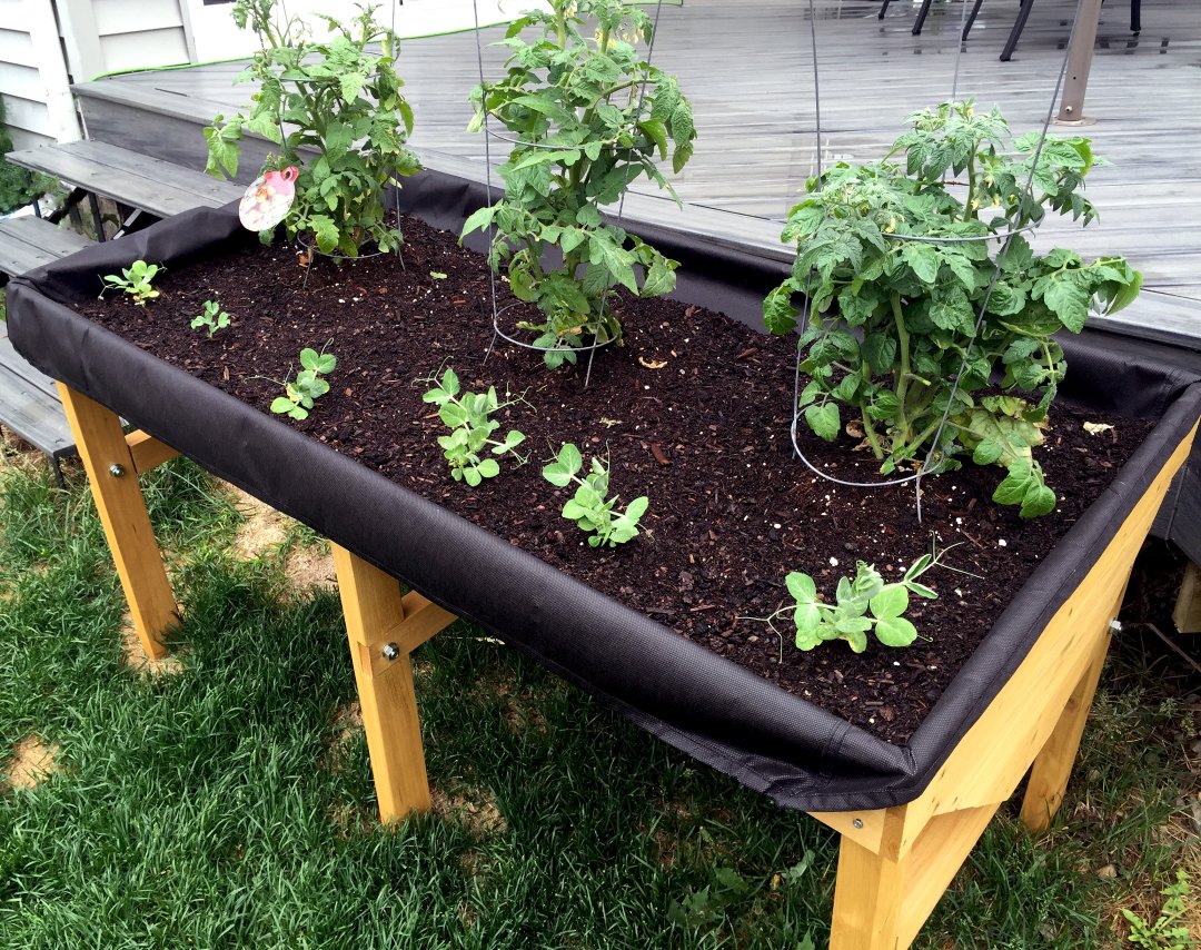 Backyard VegTrug - elevated garden planter for growing fruit, vegetables and herbs